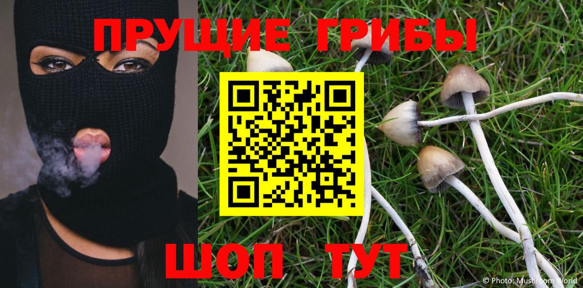 Клин  Псилоцибиновые грибы ЛСД  Вход с VPN 